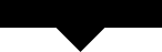 2025 Image